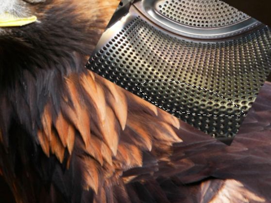 Creation of Metallic Eagle: Step 2